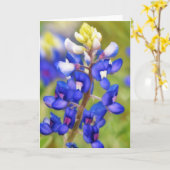 Texas Bluebonnet Blue Blume Art Note Card Karte (Gelbe Blume)