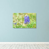 Texas Bluebonnet Blume Art Nah Up Leinwanddruck (Insitu (Holzboden))
