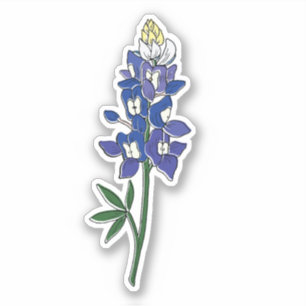 Texas Bluebonnet Blume Aufkleber