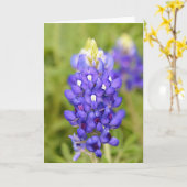 Texas Bluebonnet Blume Nah Portrait Art Card Karte (Gelbe Blume)