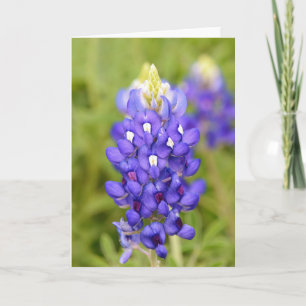 Texas Bluebonnet Blume Nah Portrait Art Card Karte