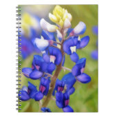 Texas Bluebonnet Blume Nah Up Journal Notizblock (Vorderseite)