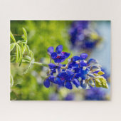 Texas Bluebonnet Blume Puzzle (Horizontal)