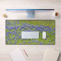 Texas Bluebonnet Blume Wilde Blume Kunst