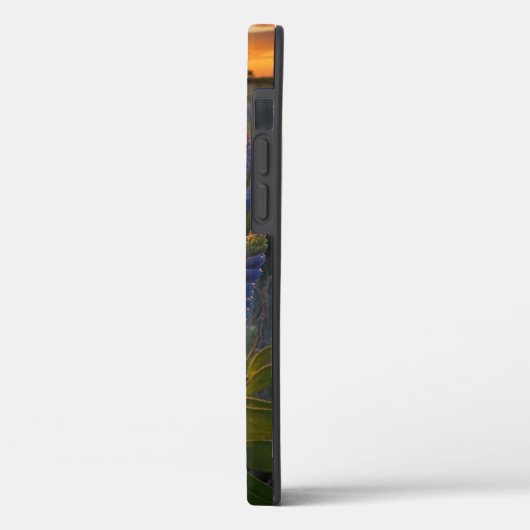 Texas Bluebonnet Case-Mate iPhone Hülle (Rückseite / Links)