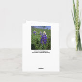 Texas Bluebonnet Christlich John 3:16 Blank Inside Karte (Rückseite)