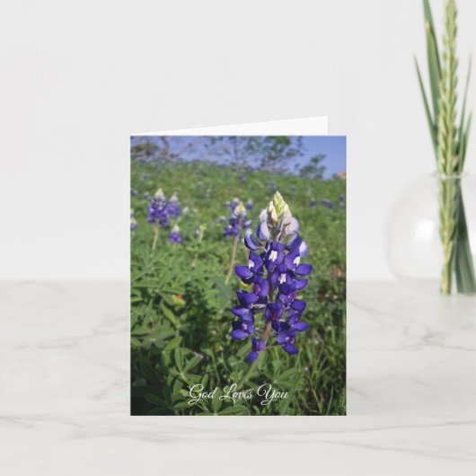 Texas Bluebonnet Christlich John 3:16 Blank Inside Karte (Vorderseite)