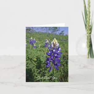 Texas Bluebonnet Christlich John 3:16 Blank Inside Karte