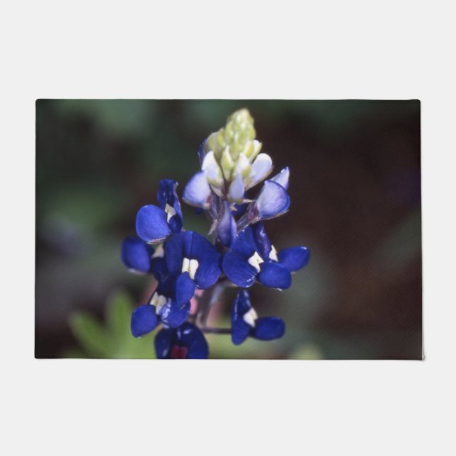 Texas Bluebonnet Door Mat Fußmatte (Vorderseite)