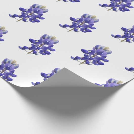 Texas Bluebonnet Geschenkpapier (Ecke)
