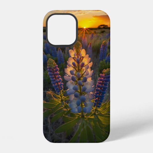 Texas Bluebonnet iPhone Hülle (Rückseite)