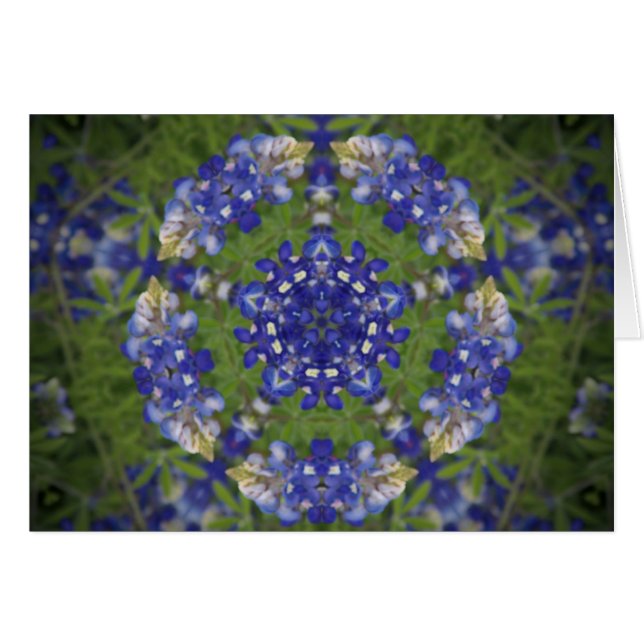 Texas Bluebonnet Kaleidoscope (Vorderseite (Horizontal))