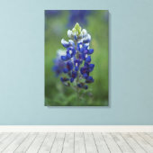 Texas Bluebonnet Leinwanddruck (Insitu (Holzboden))