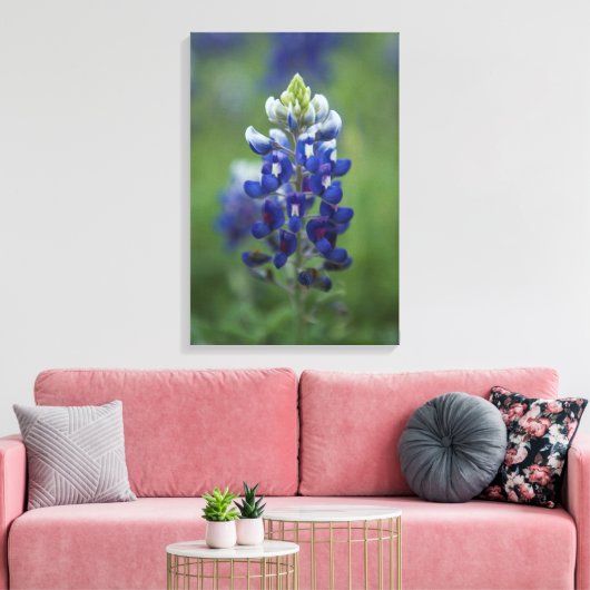 Texas Bluebonnet Leinwanddruck (Insitu (Wohnzimmer))
