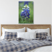 Texas Bluebonnet Leinwanddruck (Insitu (Schlafzimmer))