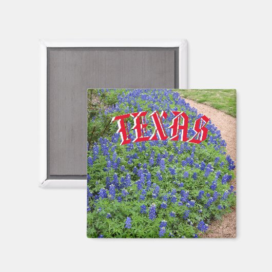 Texas Bluebonnet-Magnet Magnet (Vorderseite/Rückseite)