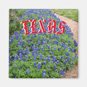 Texas Bluebonnet-Magnet Magnet (Vorne)