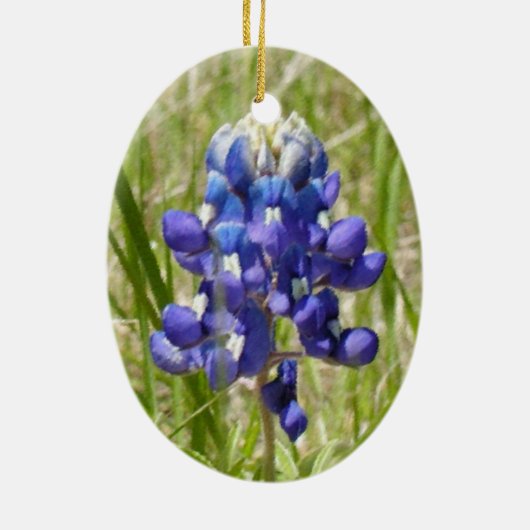 Texas Bluebonnet Ornament bemalt (Hinten)