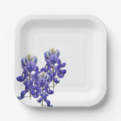 Texas Bluebonnet Papierplatte Pappteller (Vorderseite)