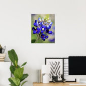 Texas Bluebonnet Poster (Heimbüro)