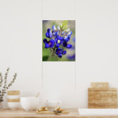 Texas Bluebonnet Poster (Küche)