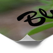 Texas, Bluebonnet Poster (Ecke)