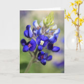 Texas Bluebonnet Poster Karte (Gelbe Blume)