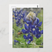 Texas Bluebonnet Postkarte (Vorne/Hinten)