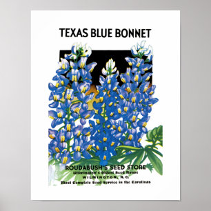 Texas Bluebonnet-Samenpackungsetikett Poster