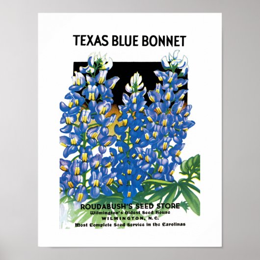 Texas Bluebonnet-Samenpackungsetikett Poster (Vorne)