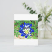 Texas Bluebonnet Top View Postkarte (Stehend Vorderseite)