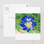 Texas Bluebonnet Top View Postkarte (Vorne/Hinten)