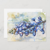 Texas Bluebonnet Wasserfarben-Blume Postkarte (Vorne/Hinten)