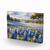 Texas Bluebonnet-Wiesenlandschaft Fotoblock (Rechts)