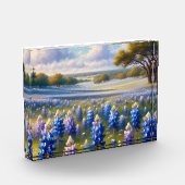 Texas Bluebonnet-Wiesenlandschaft Fotoblock (Links)
