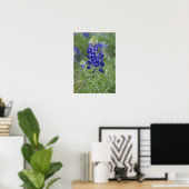Texas Bluebonnet Wildblume Foto Poster (Heimbüro)