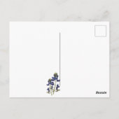 Texas Bluebonnet Wildblumen Postcard Postkarte (Rückseite)