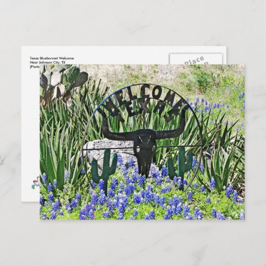 Texas Bluebonnet Willkommen Postkarte (Vorne/Hinten)