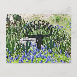 Texas Bluebonnet Willkommen Postkarte
