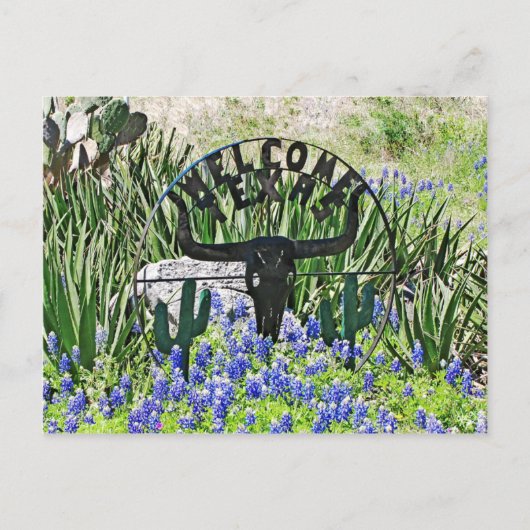 Texas Bluebonnet Willkommen Postkarte (Vorderseite)