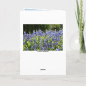 Texas Bluebonnets Ann Happy Birthday Blank Card Karte (Rückseite)