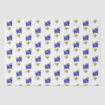 Texas Bluebonnets-Blume,