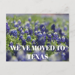 Texas Bluebonnets Blume Wildblume Blue Floral Postkarte