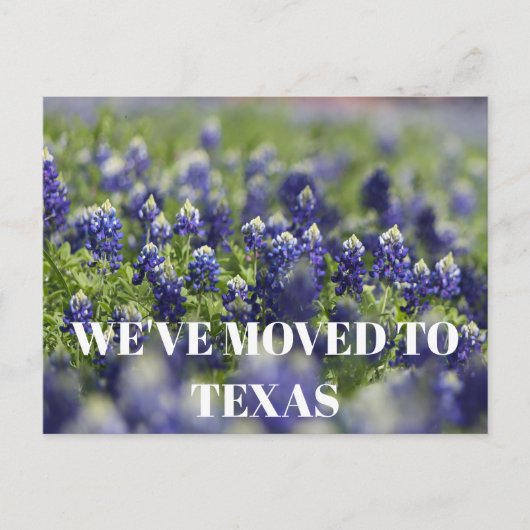 Texas Bluebonnets Blume Wildblume Blue Floral Postkarte (Vorderseite)