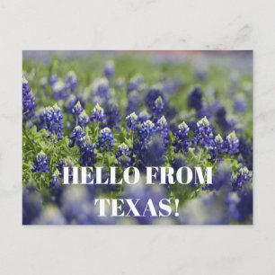 Texas Bluebonnets Blume Wildblume Blue Floral Postkarte