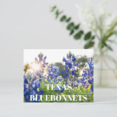Texas Bluebonnets Blume Wildblume Blue Floral Postkarte (Stehend Vorderseite)