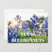 Texas Bluebonnets Blume Wildblume Blue Floral Postkarte (Vorne/Hinten)