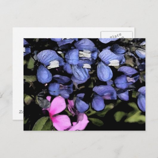 Texas Bluebonnets Closeup Postkarte (Vorne/Hinten)