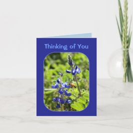 Texas Bluebonnets Denken Sie an Sie Karte
