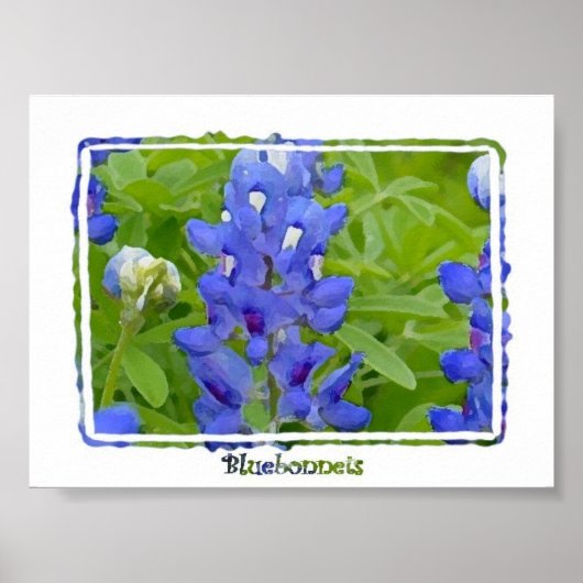 Texas Bluebonnets Digital Watercolor Poster (Vorne)